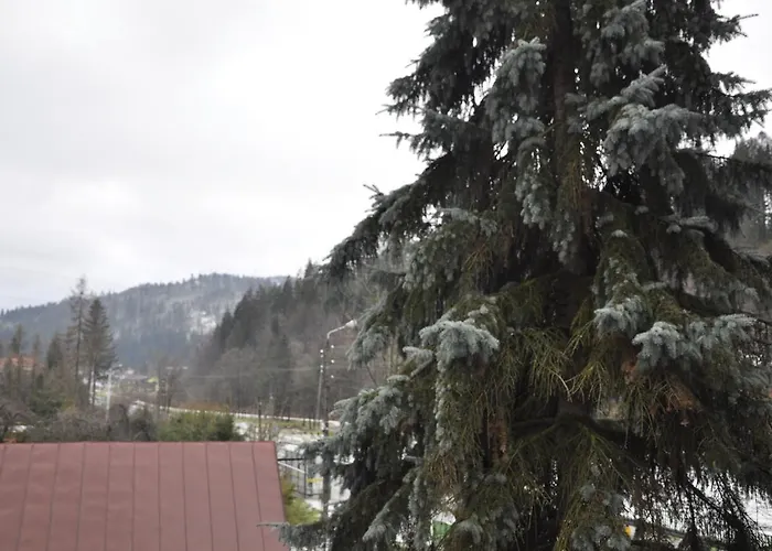 לינה וארוחת בוקר Belwder ויסלאו